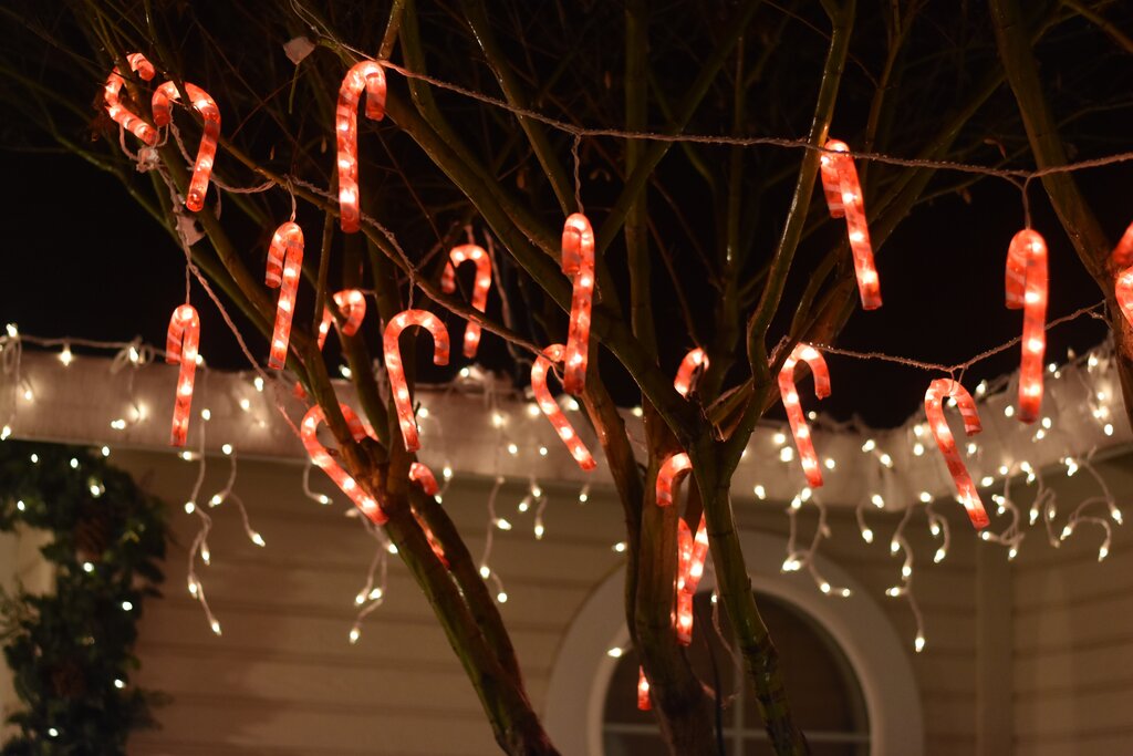 candy cane lights